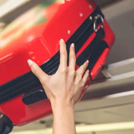 حقيبة السفر