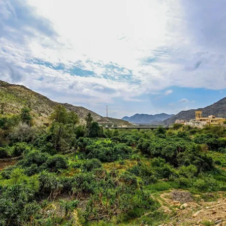 أمطار منطقة الباحة