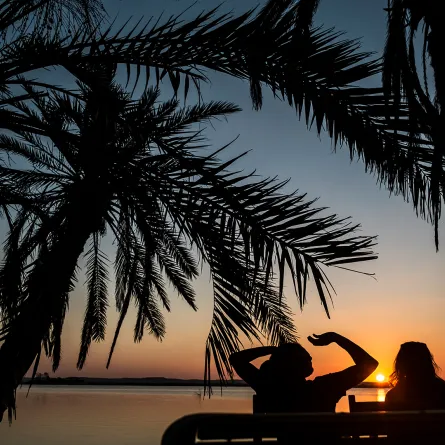 من بينها "الأحساء" و"سيوة".. أجمل الواحات حول العالم