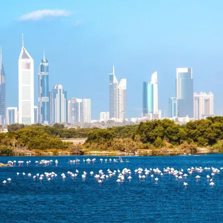 تزخر المحميات بالعديد من أنواع الكائنات. الصورة من تويتر مكتب دبي الإعلامي