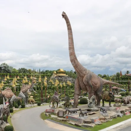 اكتشاف بقايا 4 ديناصورات في وادٍ بـ تشيلي