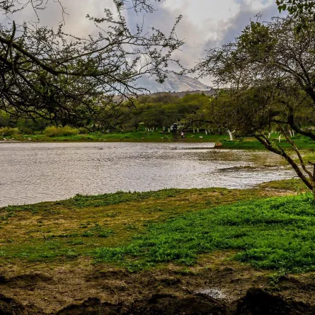 منطقة الباحة