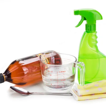 التنظيف بالخل