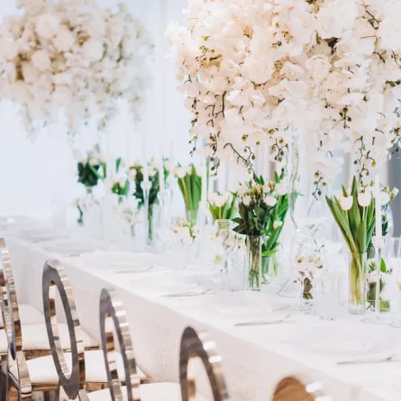 طاولة المعازيم