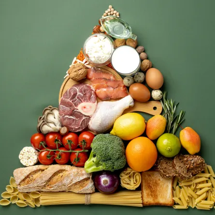 الهرم الغذائي ومكوناته