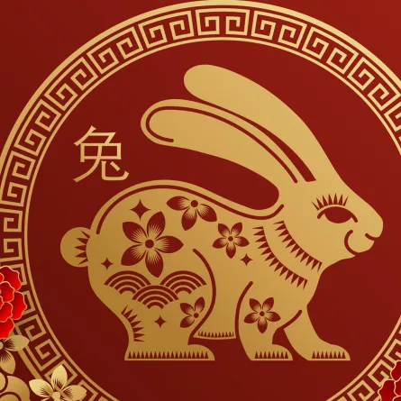 صفات برج الأرنب الصيني