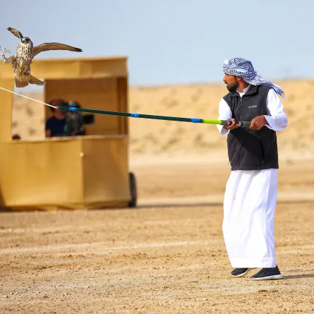 منافسات الصقور- الصورة من مركز حمدان بن محمد لإحياء التراث