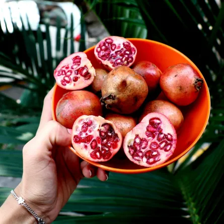 9 أطعمة شتوية خارقة لتقوية المناعة وتعزيز اللياقة البدنية (المصدر: pexels )