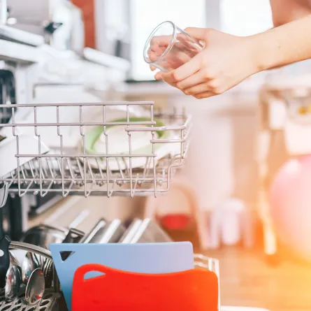 العناية بغسالة الأطباق