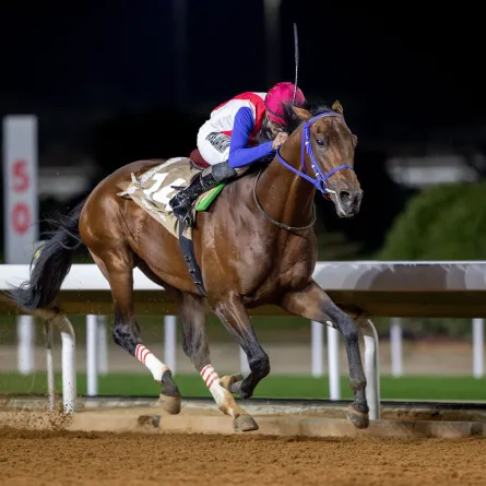 نظم السباق في ميدان الملك عبدالعزيز بالجنادرية. الصورة من نادي سباقات الخيل