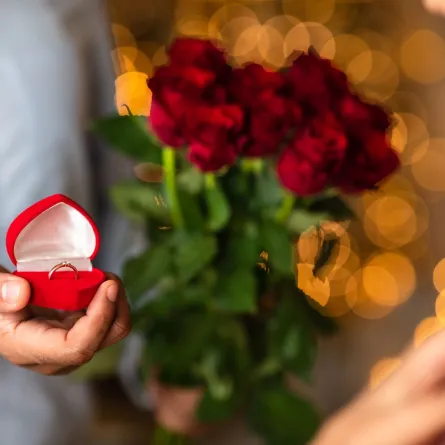 حقائق عن فترة الخطوبة