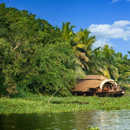 معلومات أساسية قبل زيارة ولاية كيرالا الهندية