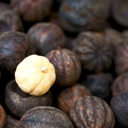 فوائد الليمون الأسود لجرثومة المعدة