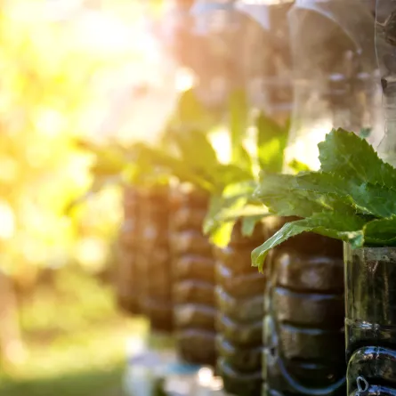 أفكار التدوير لعلب الماء  