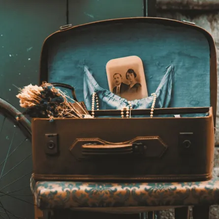 حقائب السفر