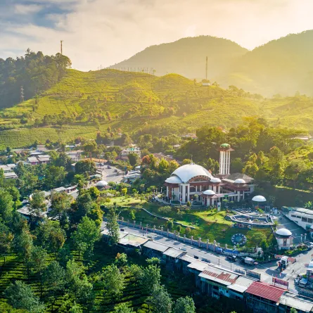 معلومات هامة يجب معرفتها قبل زيارة بونشاك في اندونيسيا