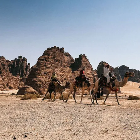 سباقات الهجن