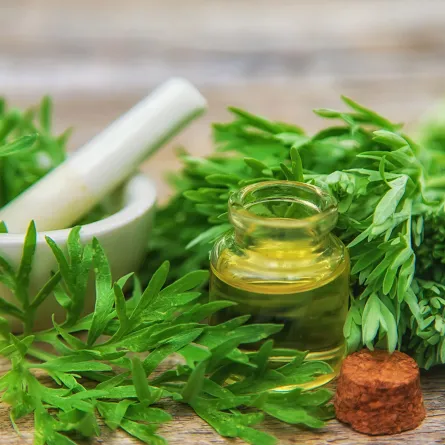 فوائد عشبة البعيثران للنساء