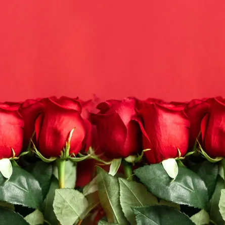 هدايا يوم الحب