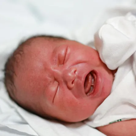 صورة لمولود يبكي