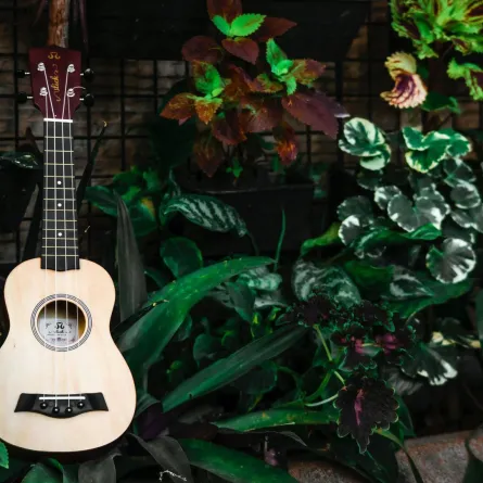 النباتات والموسيقى