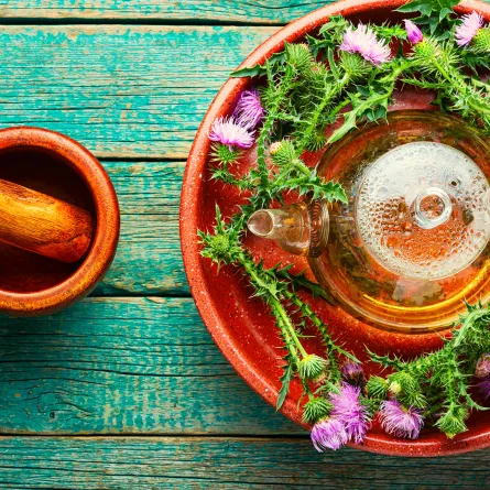 فوائد عشبة شوك الجمل