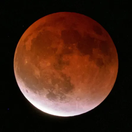 هل المريخ به ماء