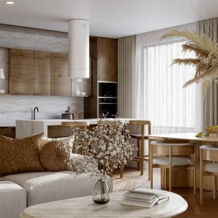 معلومات عن ديكورات المطابخ المفتوحة على الصالونات في المنازل العصرية