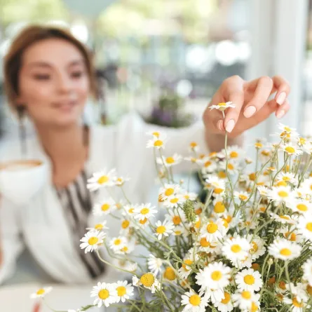 فوائد البابونج للبشرة