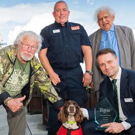 حيوانات في مهام بطولية.. الكلاب الأكثر استخداماً و«الفئران» البديل العصري