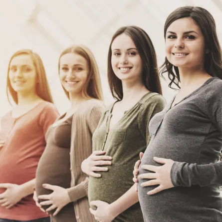 صورة لحوامل