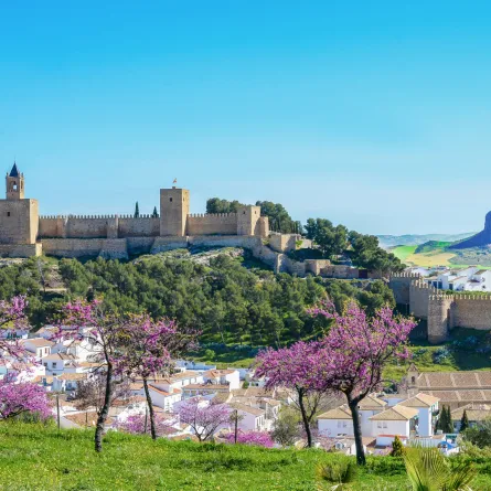 رحلة مميزة إلى مدينة الحضارات مالقا.. «حسناء الأندلس» 