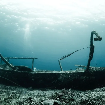 العثور على كنز دفين داخل سفينة غارقة منذ 4 قرون- pexels-adiprayogo-liemena