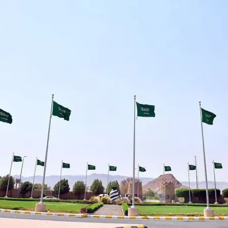 النيابة العامة السعودية تحذر من تنكيس أي علم وطني