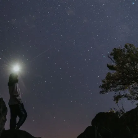 النجوم بدأت بالاختفاء 