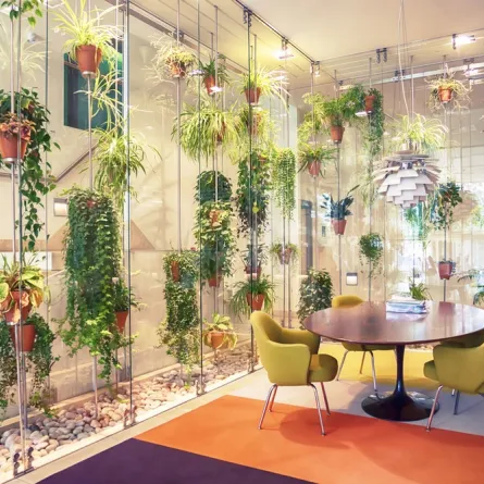 حديقة مصغرة واقعة تحت الدرج