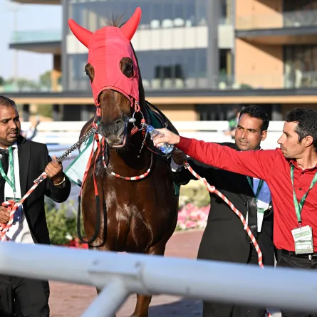 جانب من كأس السعودية