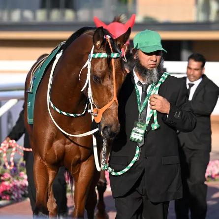 جانب من كأس السعودية