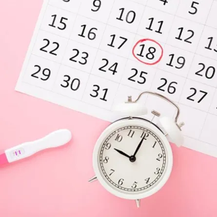 صورة تشير لامكانية تحديد أيام التبويض