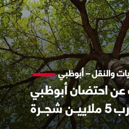 البلديات والنقل تكشف عن جهودها في استدامة الحزام الأخضر في إمارة أبوظبي. الصورة من تويتر مكتب أبوظبي الإعلامي