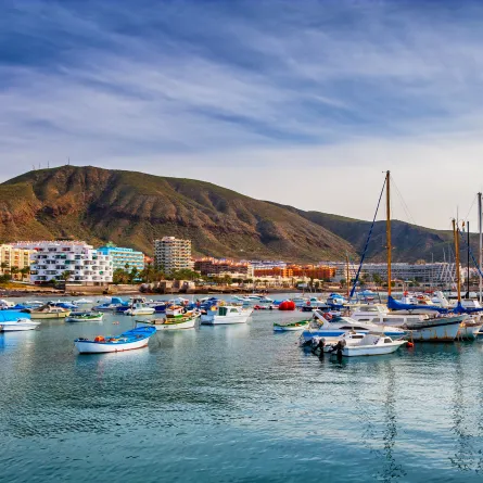 جزر الكناري