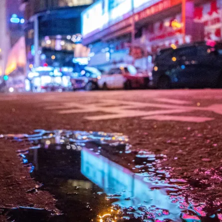 Photo by Thomas Chan on Unsplash 