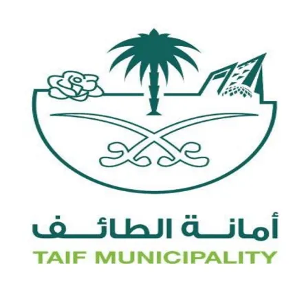 الطائف
