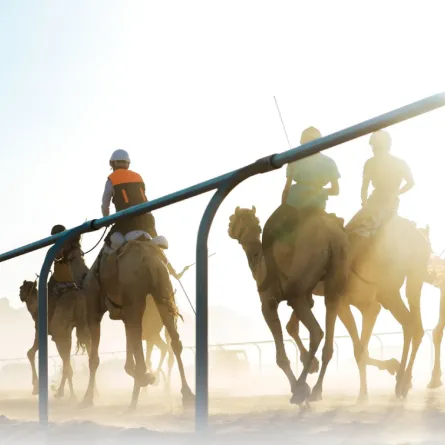 مشاركة نسائية مميزة في أول نسخة من كأس العلا للهجن - الصورة من حساب الاتحاد السعودي للهجن على تويتر