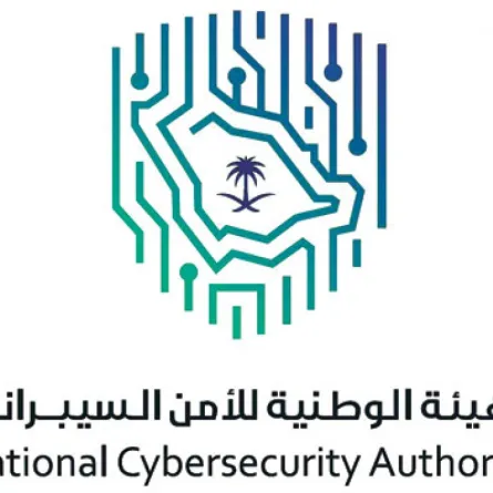 الأمن السيبراني 