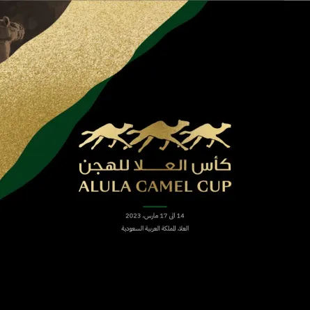 انطلاق النسخة الأولى من كأس العلا للهجن غدا - الصورة من حساب الاتحاد السعودي للهجن على تويتر