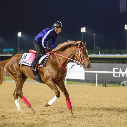 انطلاق النسخة الـ 27 من كأس دبي العالمي للخيول 2023 - الصورة من مكتب دبي الإعلامي