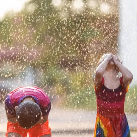 يمكن أن يساعدك في إلقاء نظرة على الصورة الكبرى -المصدر: pexels