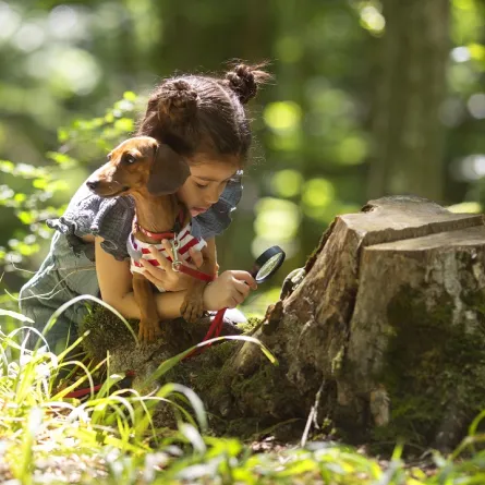 صورة لطفلة في غابة برفقة حيوان 