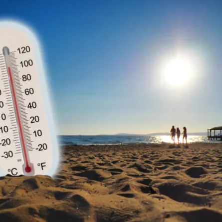 اليوم العالمي للأرصاد الجوية